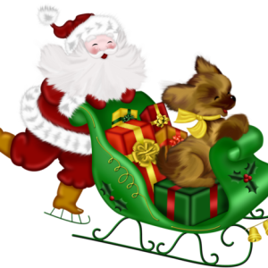 Santa sleigh PNG