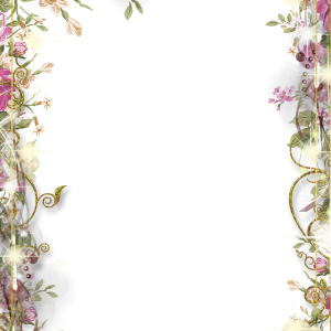 Floral frame PNG