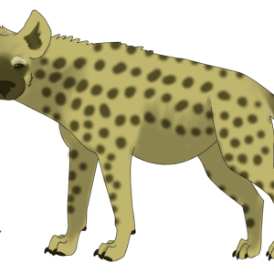 Hyena PNG
