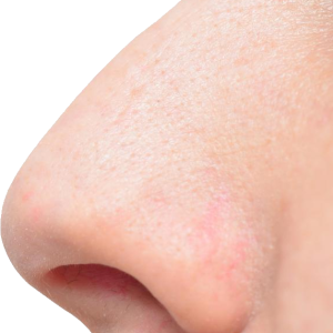 Human nose PNG