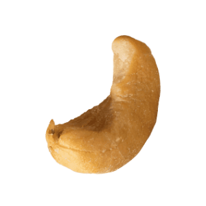 Cashew nut PNG