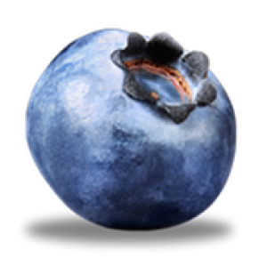 Blueberries PNG