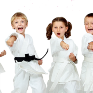 Taekwondo PNG