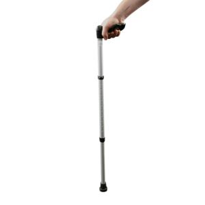 Walking stick PNG