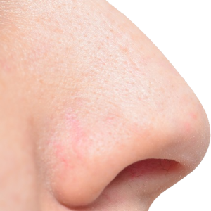 Human nose PNG