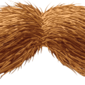 Moustache PNG image
