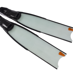 Flippers PNG