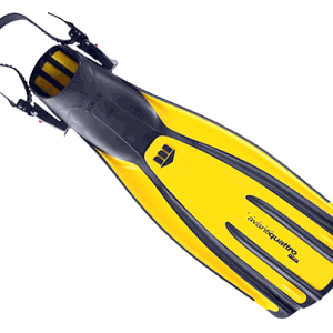 Flippers PNG