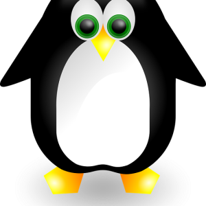 Linux logo PNG