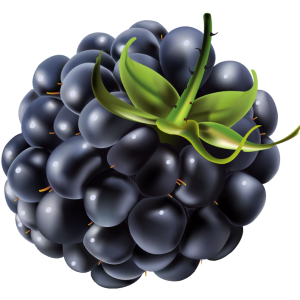 Blackberry PNG