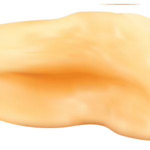 Peanut PNG
