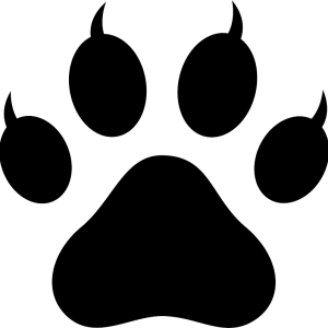 Paw PNG