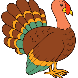 Turkey bird PNG