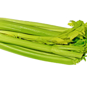Celery PNG