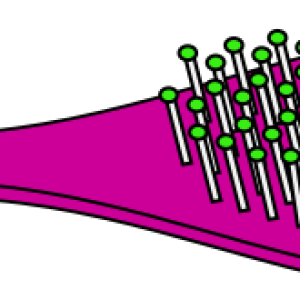Hairbrush PNG