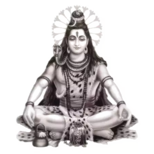 Shiva PNG