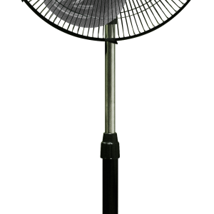 fan PNG
