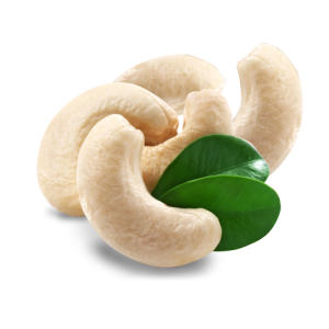 Cashew nut PNG
