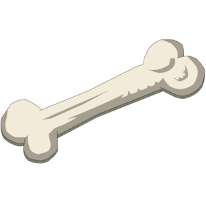 Bone PNG