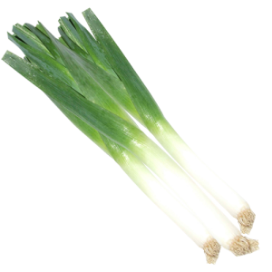 Leek PNG