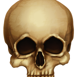 Skull PNG
