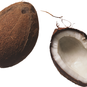 Coconut PNG image
