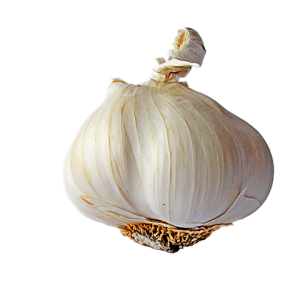Garlic PNG