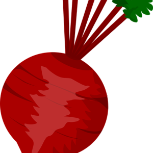 Beet PNG