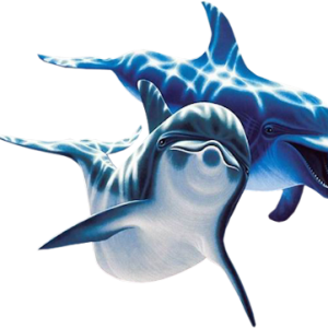 Dolphin PNG