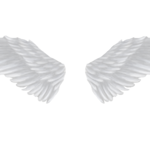 White angel wings PNG