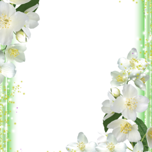 Picture, photo frame PNG