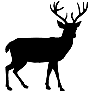 Santa Claus's reindeer PNG