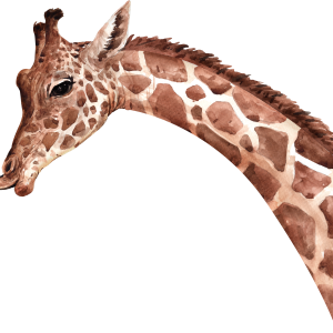 Giraffe PNG