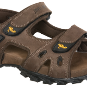 Sandals PNG image