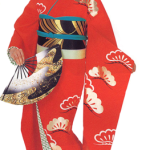 Kimono PNG