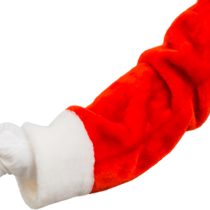 Santa Claus hand PNG