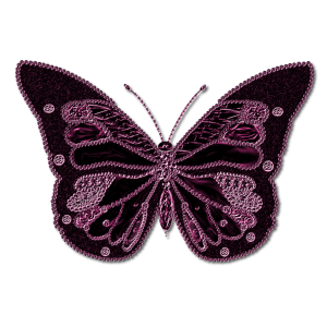 Butterfly PNG image