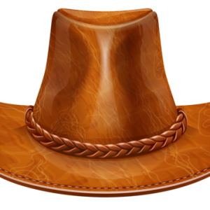 Cowboy hat PNG