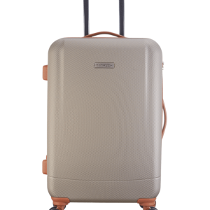 Baggage, trolley bag PNG