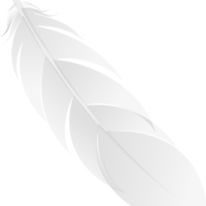 Feather PNG