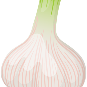 Garlic PNG