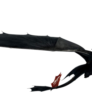 Night Fury PNG