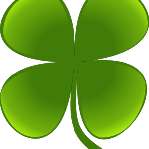 Shamrock PNG
