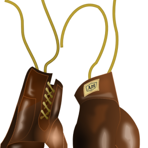 Boxing gloves PNG image