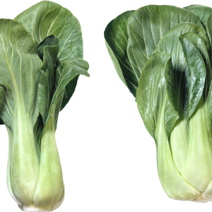 Salad PNG image