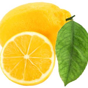 Lemon PNG
