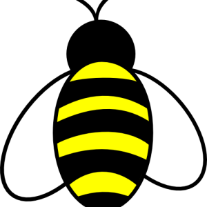 Bee PNG