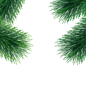 Fir-tree PNG image