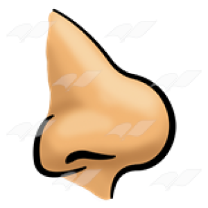 Human nose PNG