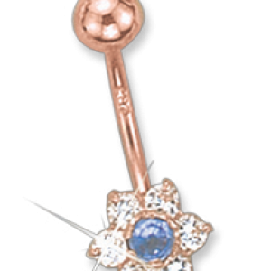 Body piercing PNG